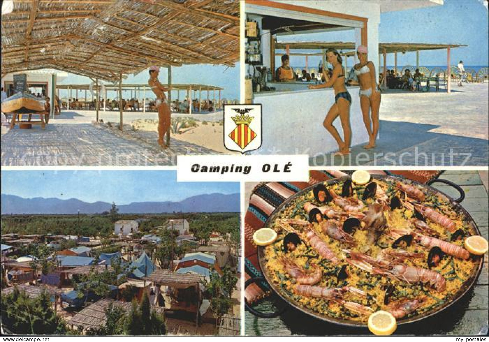 72035309 Valencia Valenciana Camping Ole Oliva  Valencia