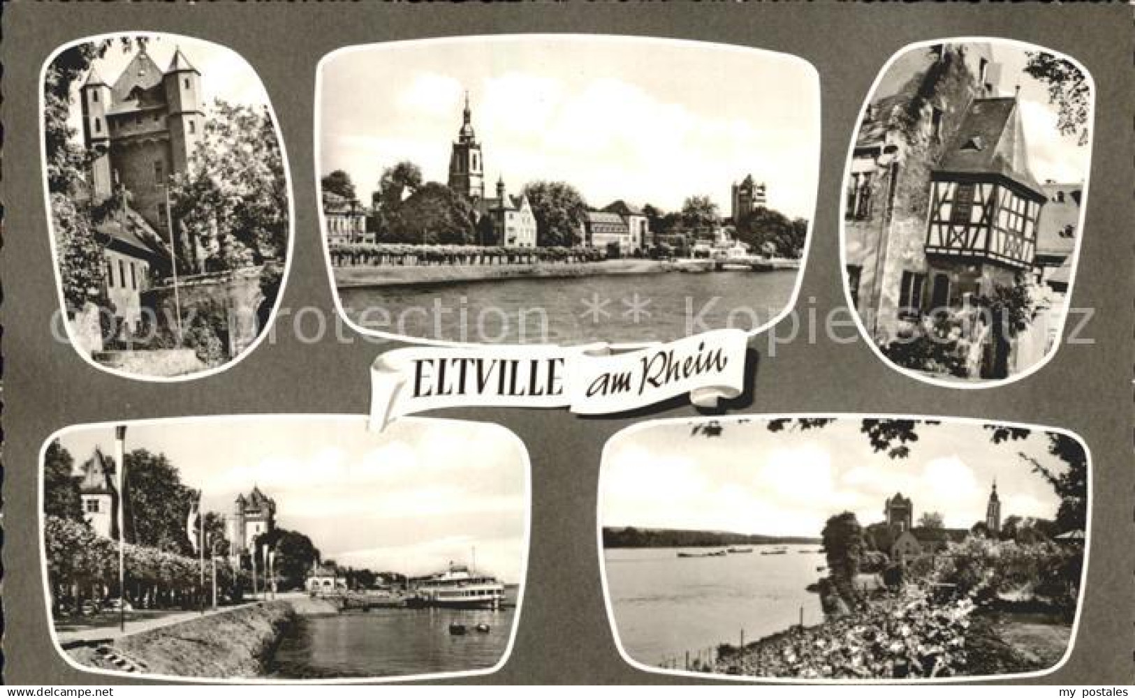 72092397 Eltville Rhein Ortsansichten