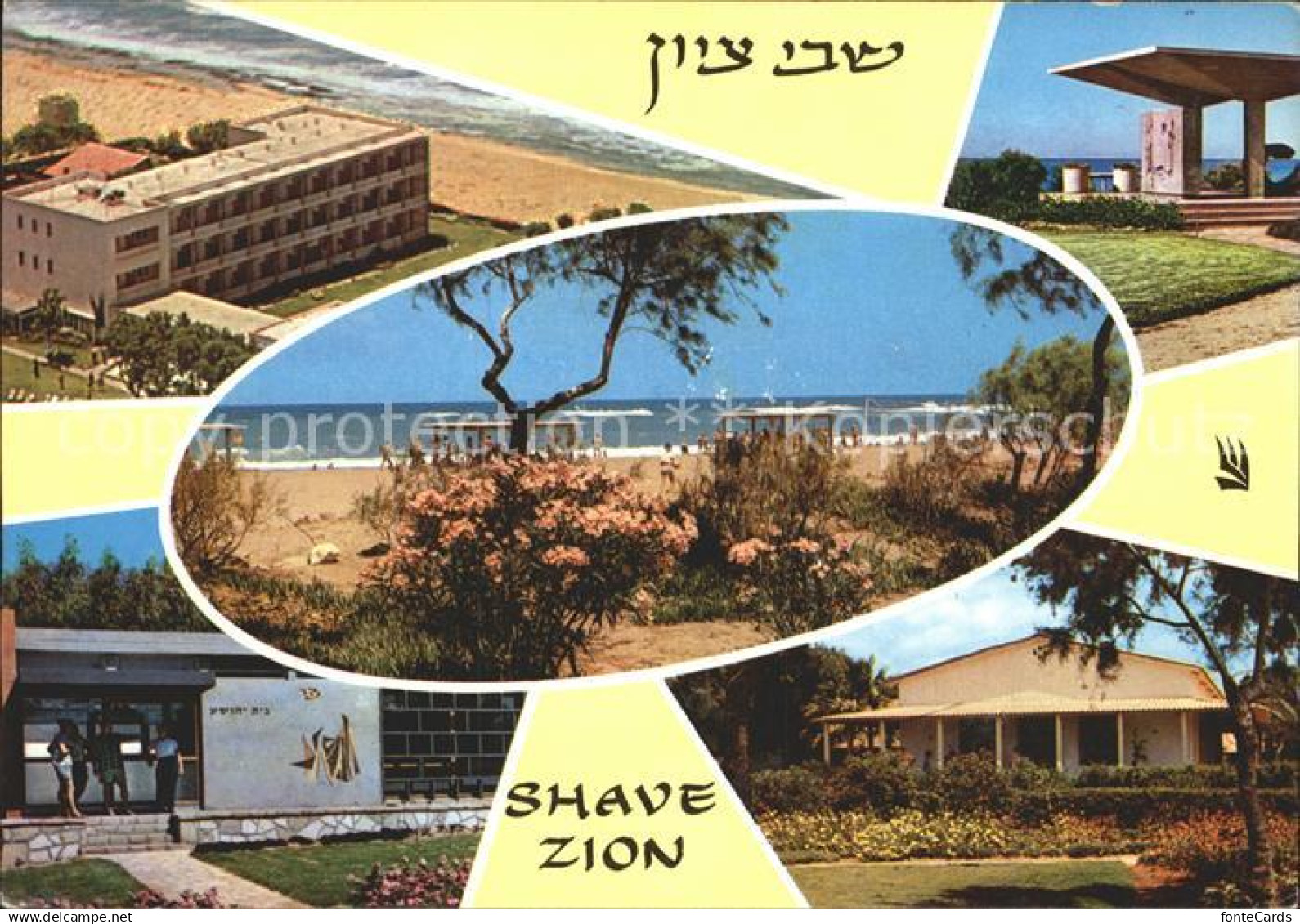 72244802 Israel Shave Zion Israel