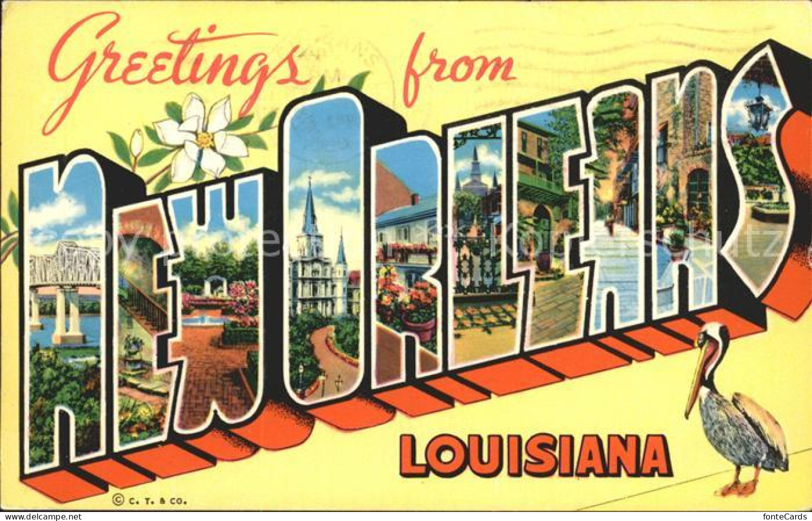 72291122 New_Orleans_Louisiana