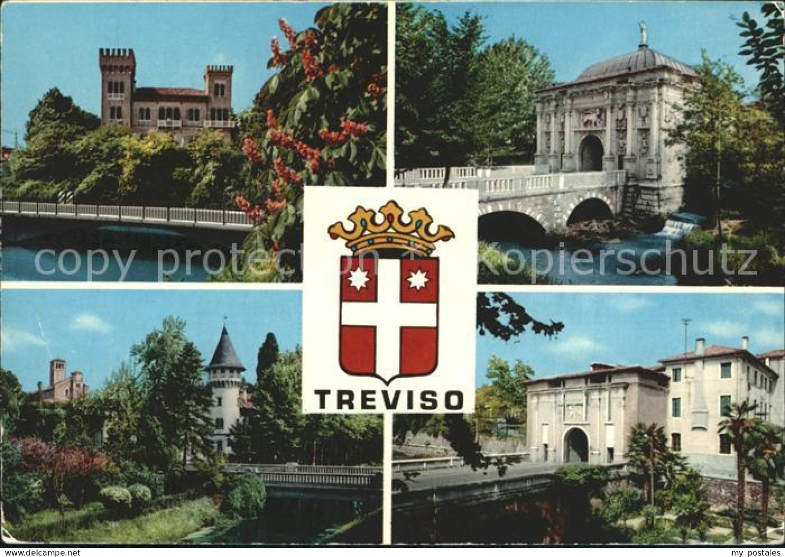 72294506 Treviso  Treviso