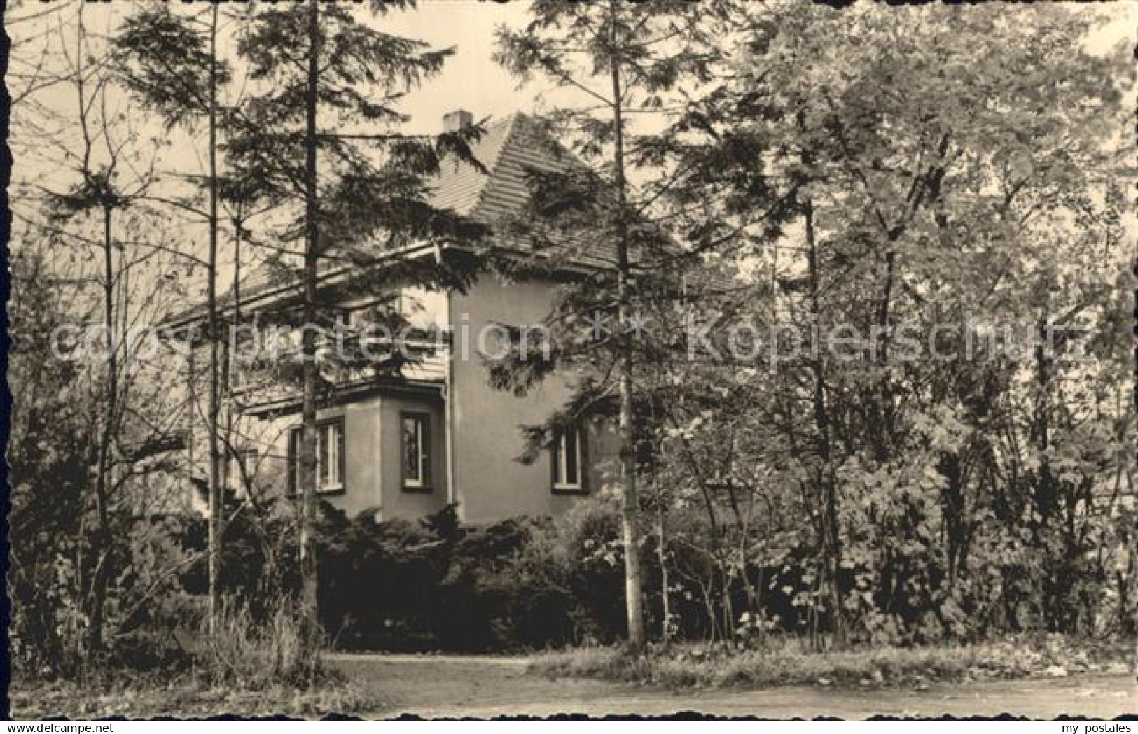 72311649 Falkenstein Vogtland Heimatzoo Verwaltung