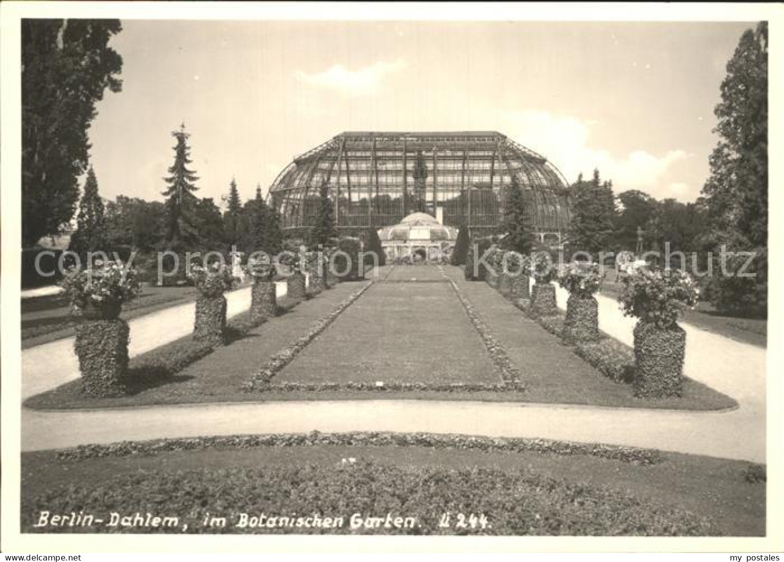 72327139 Dahlem Berlin Botanischen Garten  Dahlem Berlin