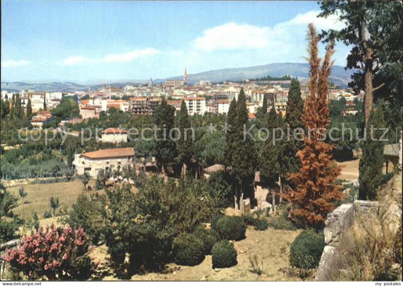 72398618 Arezzo Panorama Arezzo