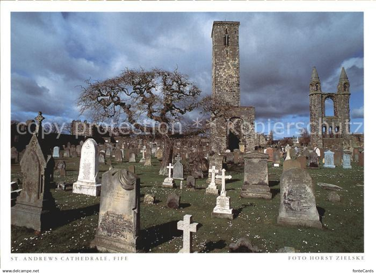 72400409 Fife Fife St-. Anderws Cathedrale Friedhof Fife Fife