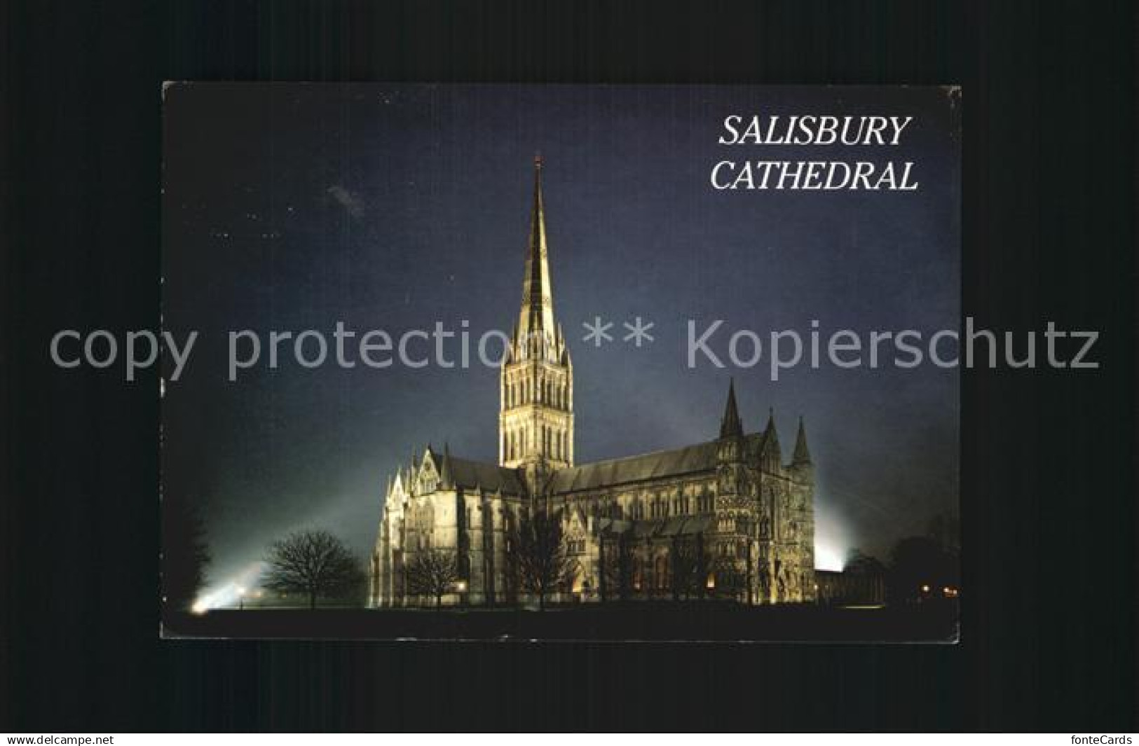 72431613 Salisbury Wiltshire Kathedrale Nacht Salisbury