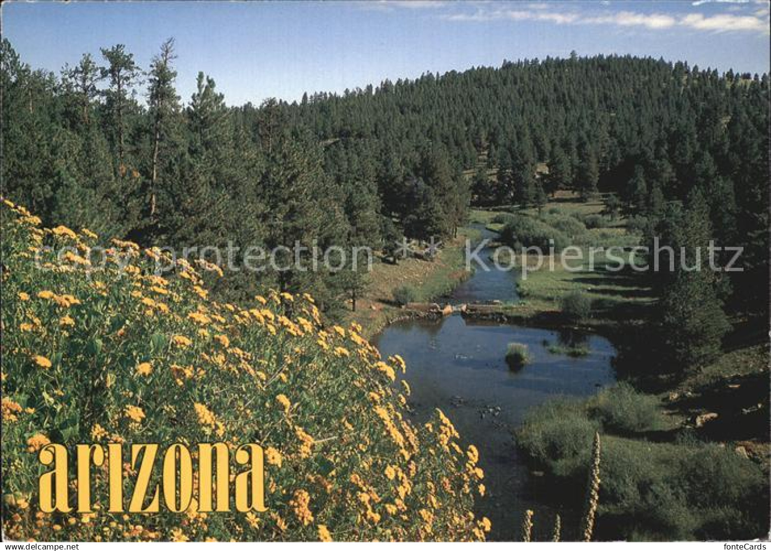 72434231 Arizona_US-State White Mountains Little Colorado River