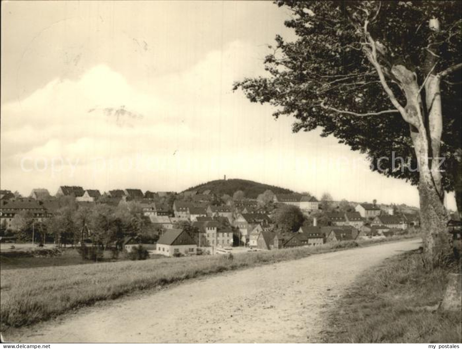 72442692 Altenberg Erzgebirge Geising  Geising