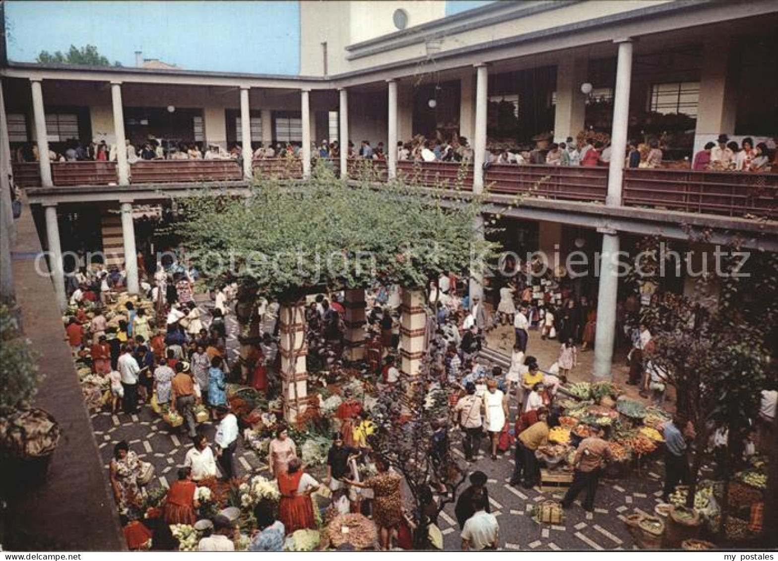 72448987 Madeira Funchal Market  Madeira