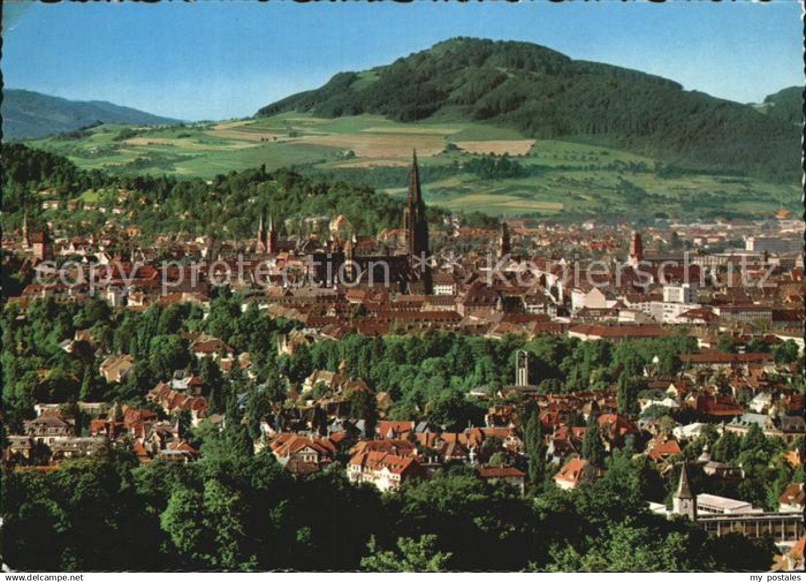 72451992 Freiburg Breisgau Muenster Freiburg Breisgau