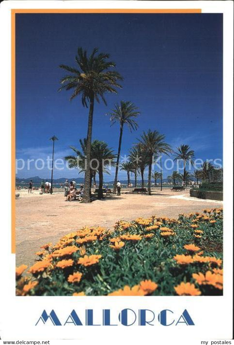 72482533 Mallorca Strandpromenade Mallorca