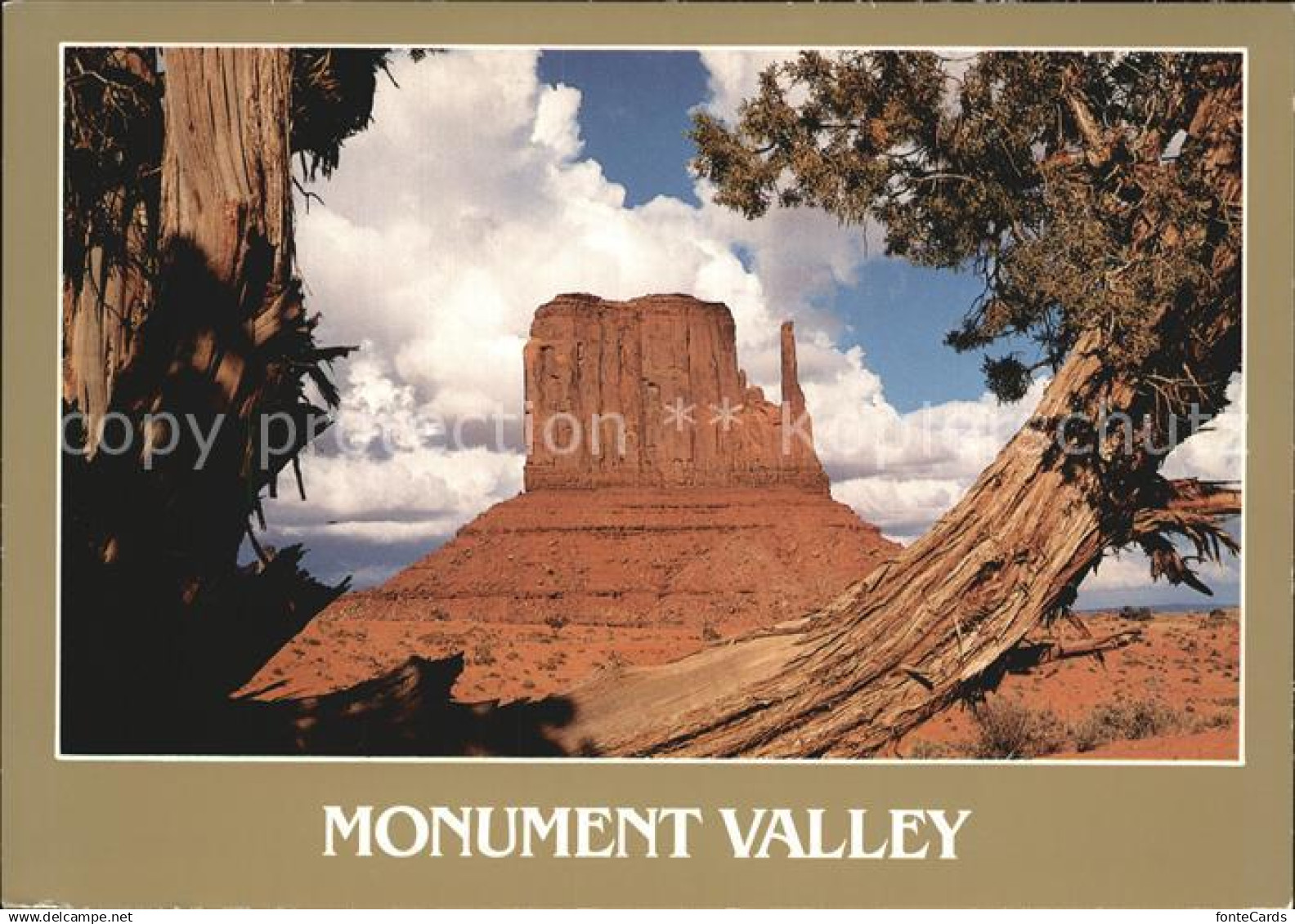 72488837 Arizona_US-State Monument Valley