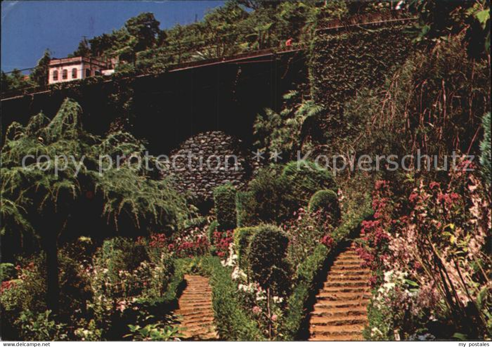 72488901 Madeira Garten in Monte Madeira