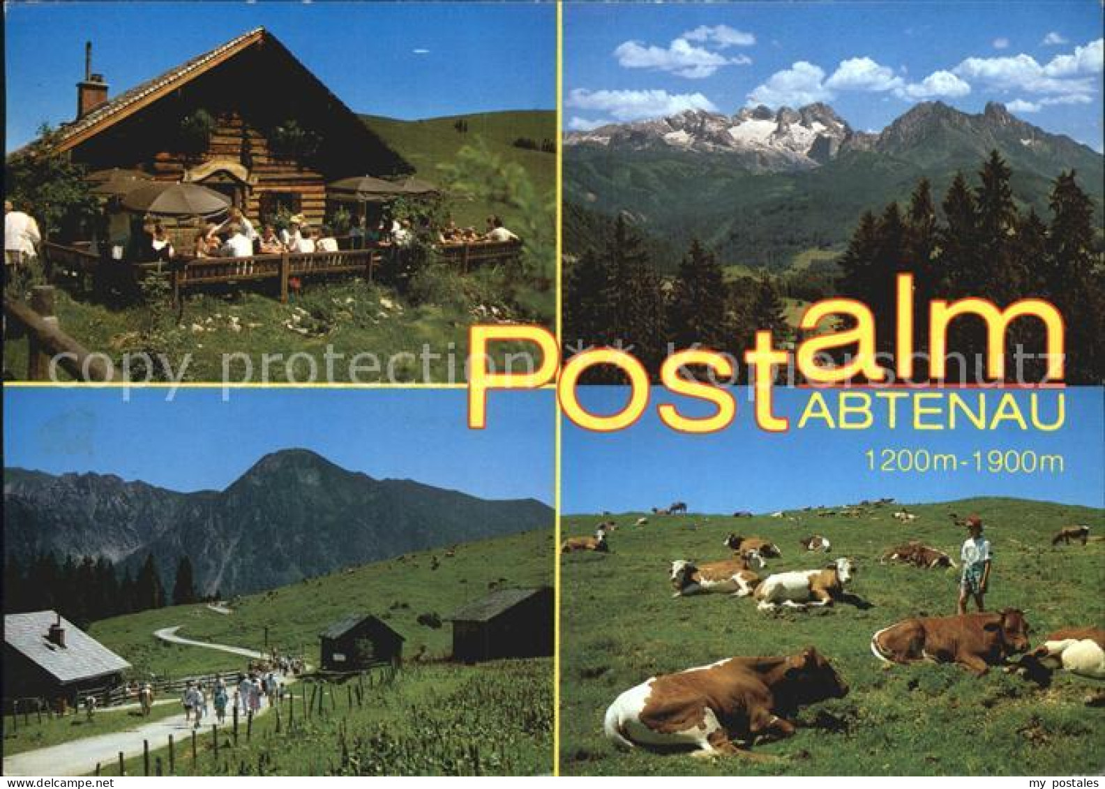 72498194 Abtenau Postalm  Abtenau