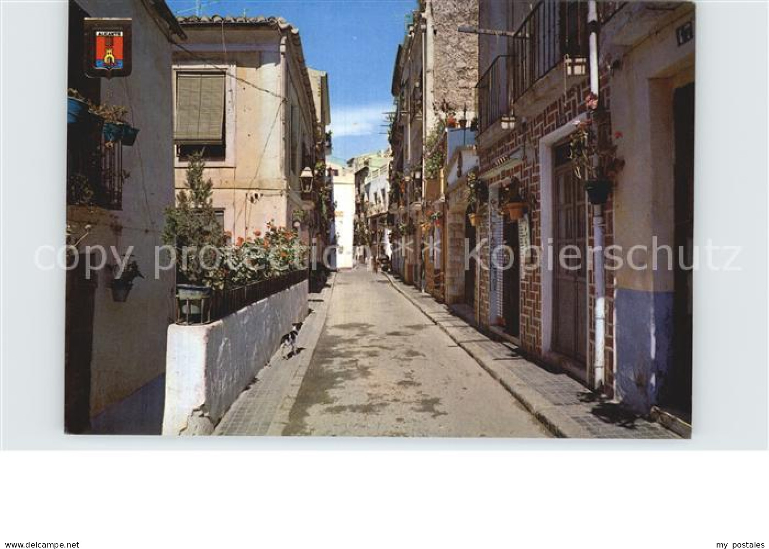 72502621 Alicante Rue de Toledo Alicante