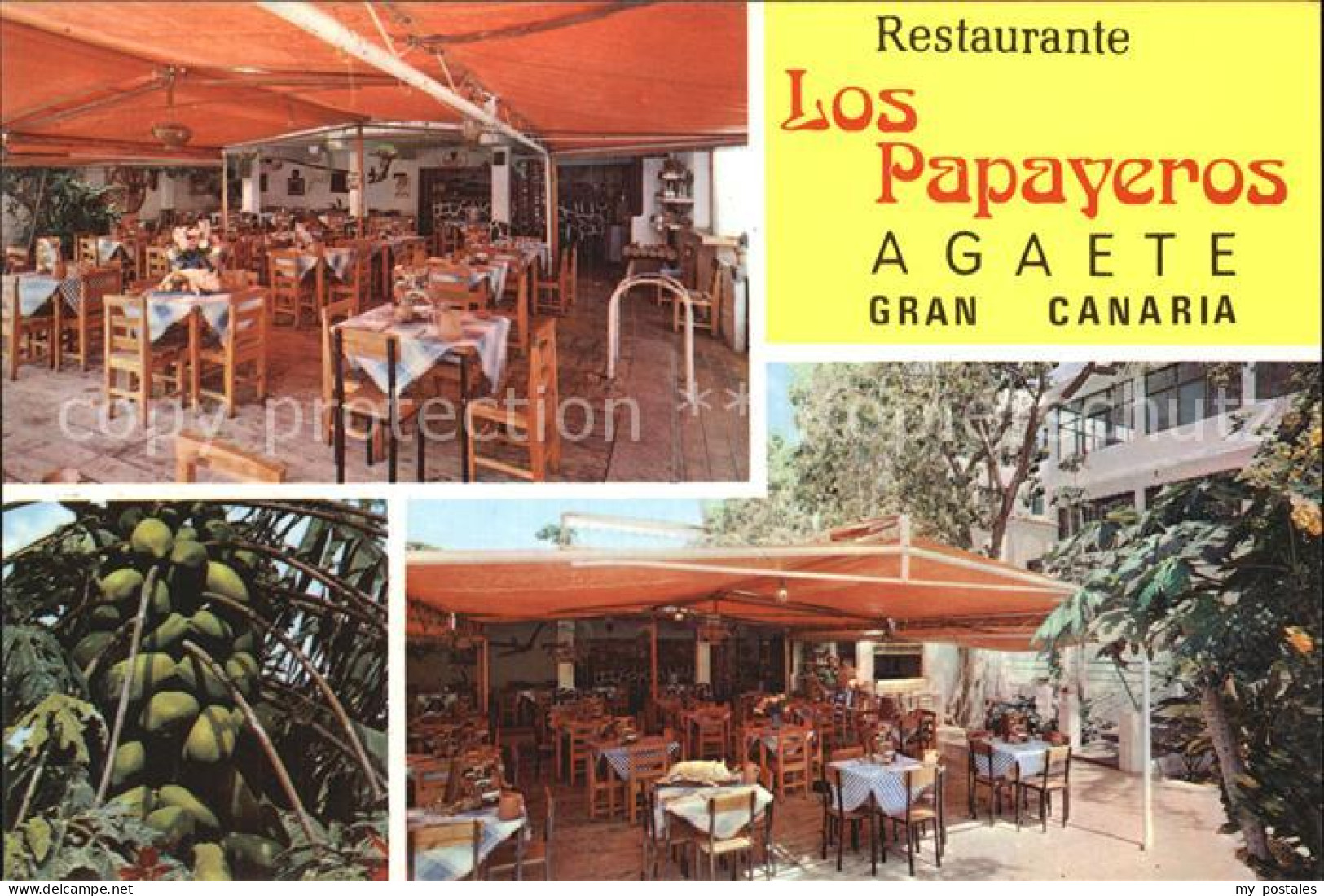 72513783 Gran Canaria Restaurante Los Papayeros Agaete Gran Canaria