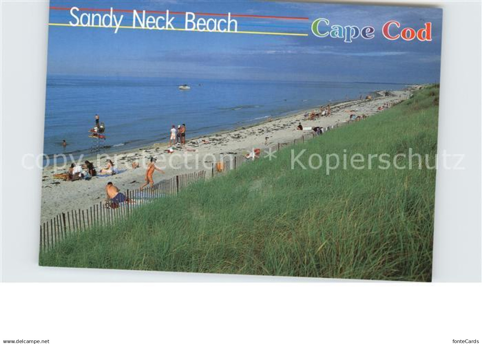 72583041 Cape Cod Mass. Sandy Neck Beach Cape Cod Mass.