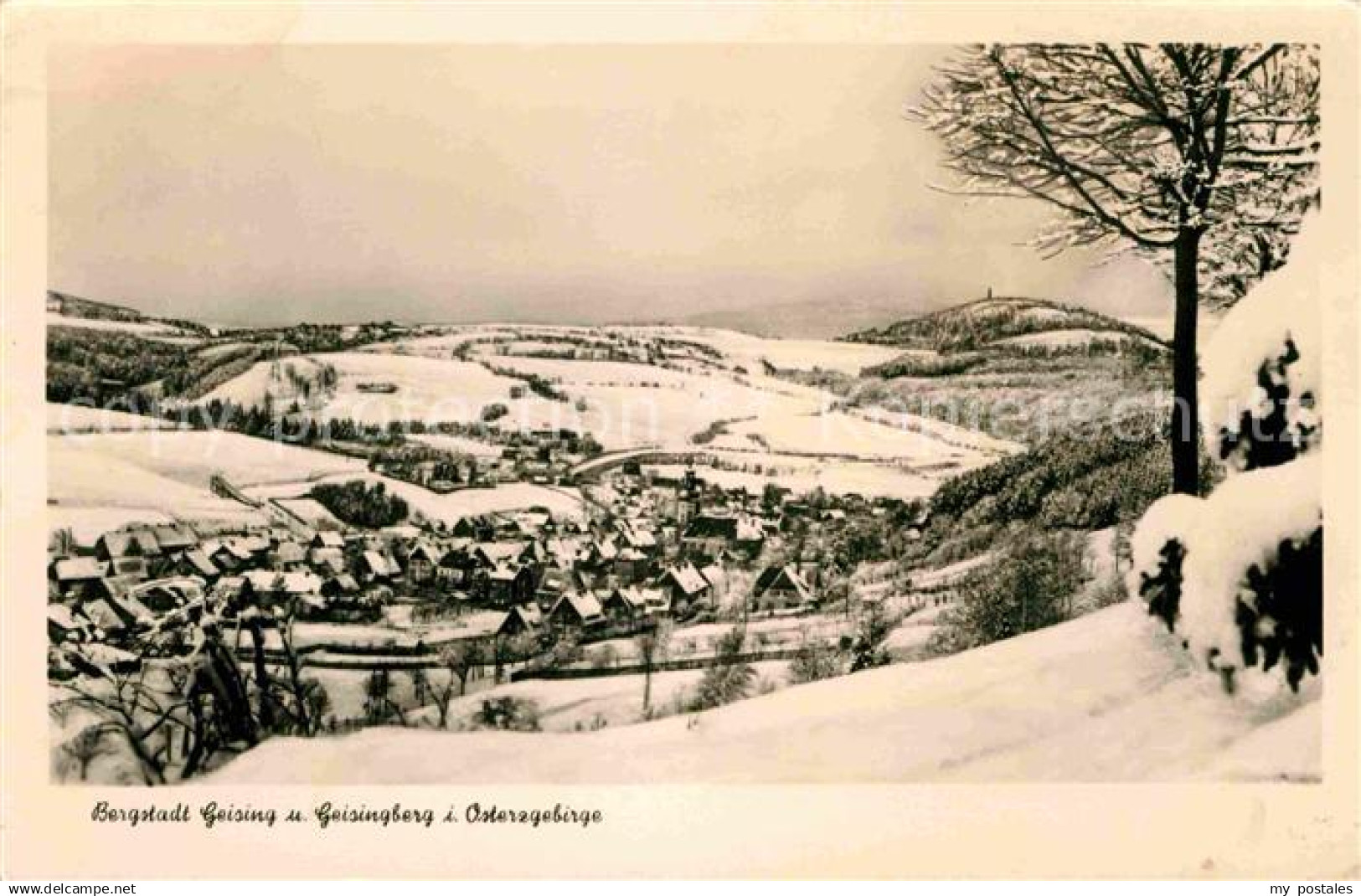 72641546 Geising Erzgebirge Osterzgebirge Geising Osterzgebirge