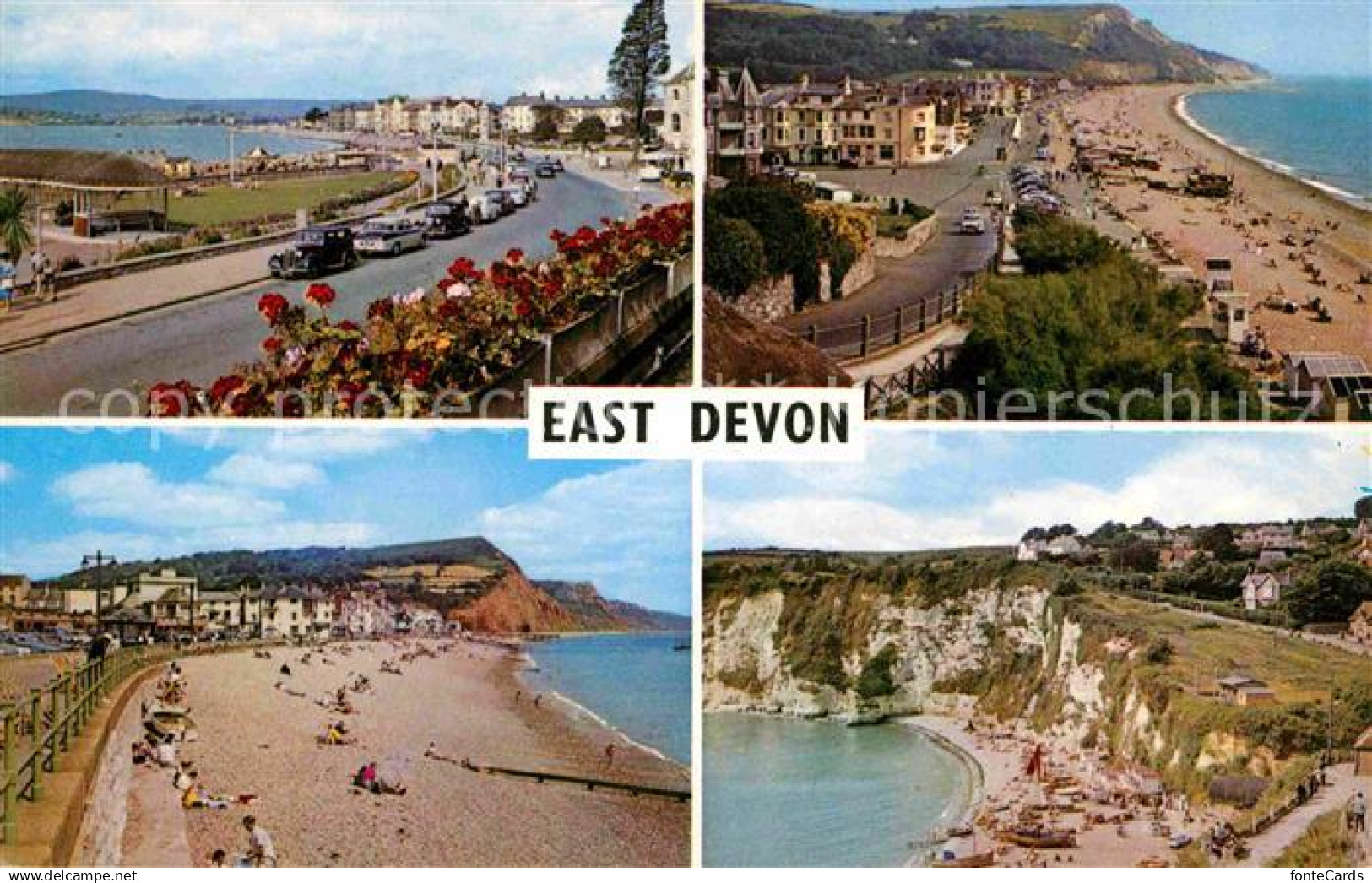 72659425 East Devon Exmouth Sidmouth Seaton Beer East Devon