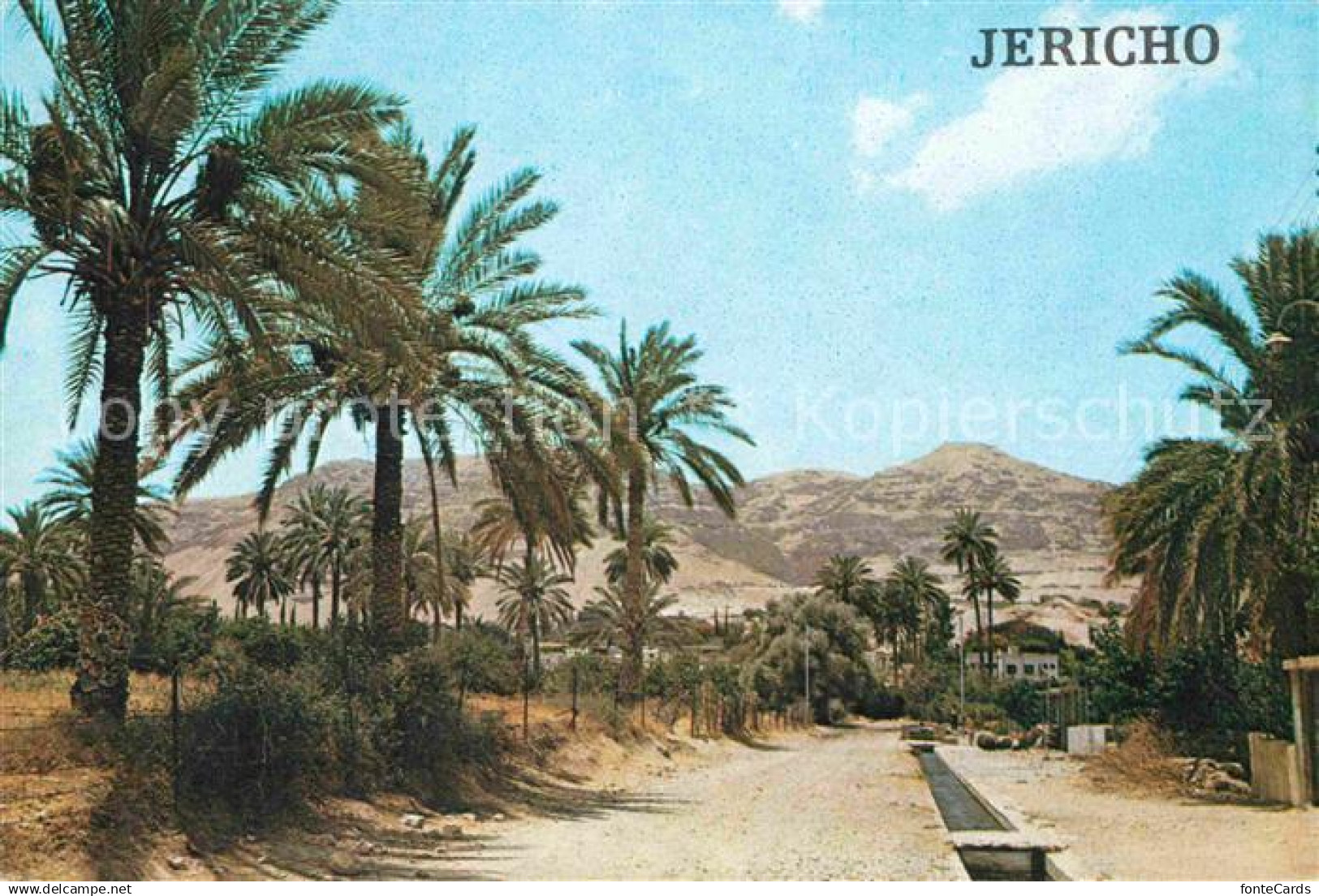 72664472 Jericho Israel Elisa Quelle Jericho Israel