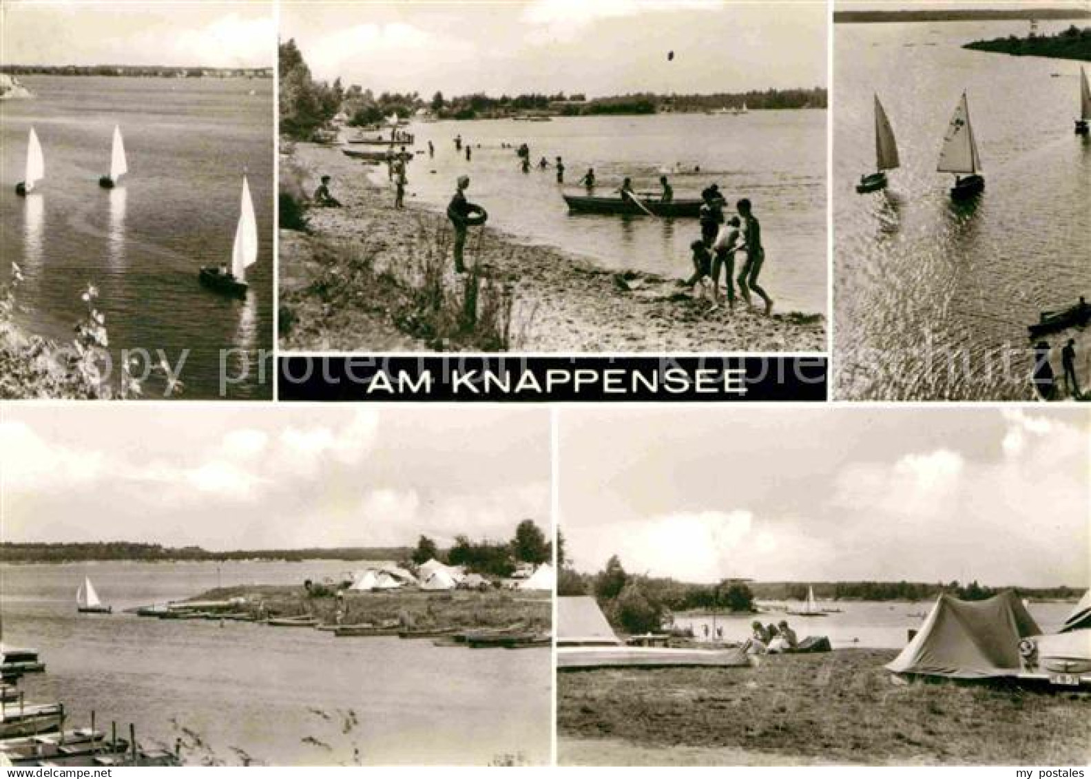 72704177 Knappensee Oberlausitz Segler Campingplatz Teilansicht