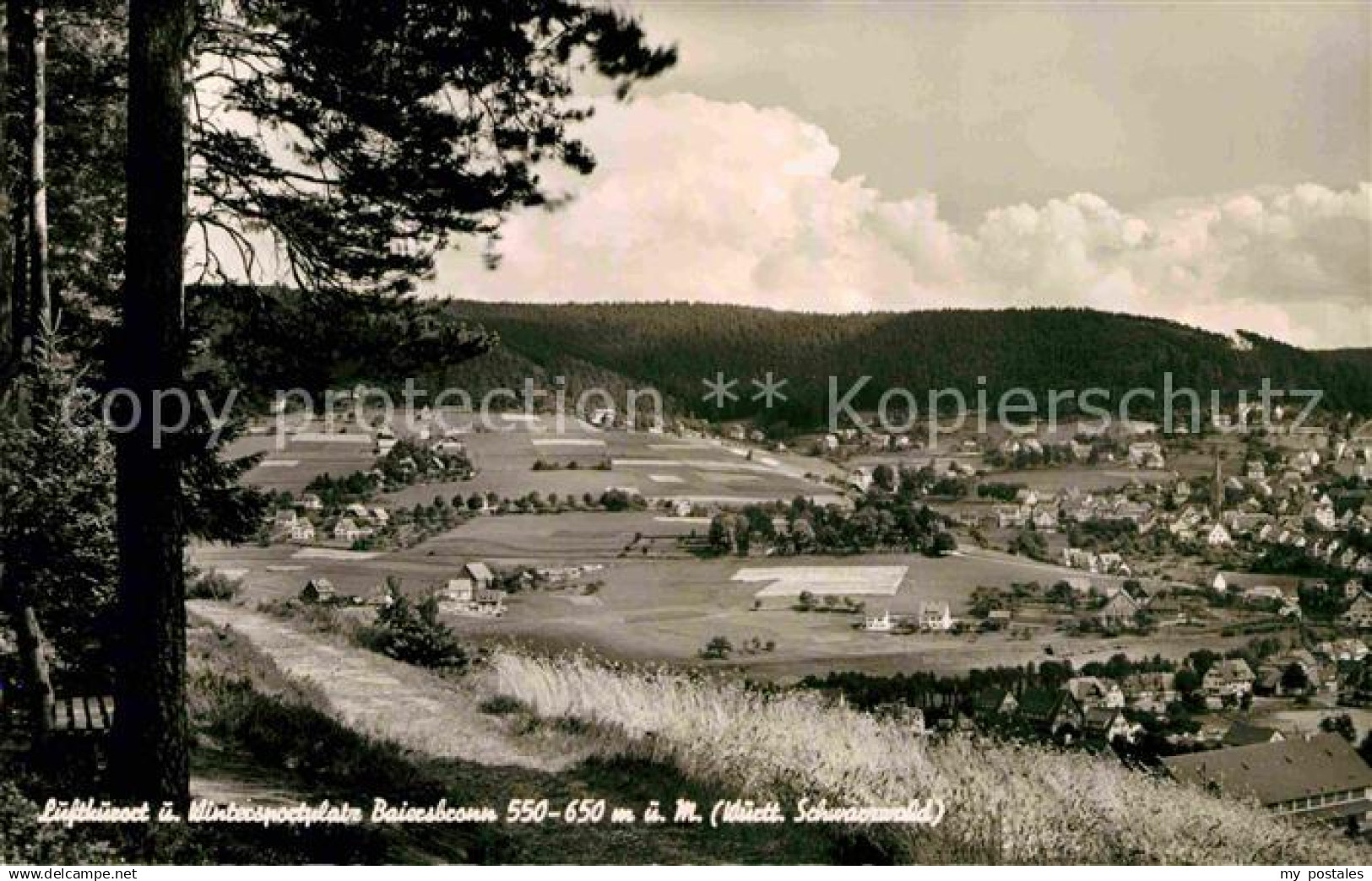 72759873 Baiersbronn Schwarzwald Panorama Baiersbronn