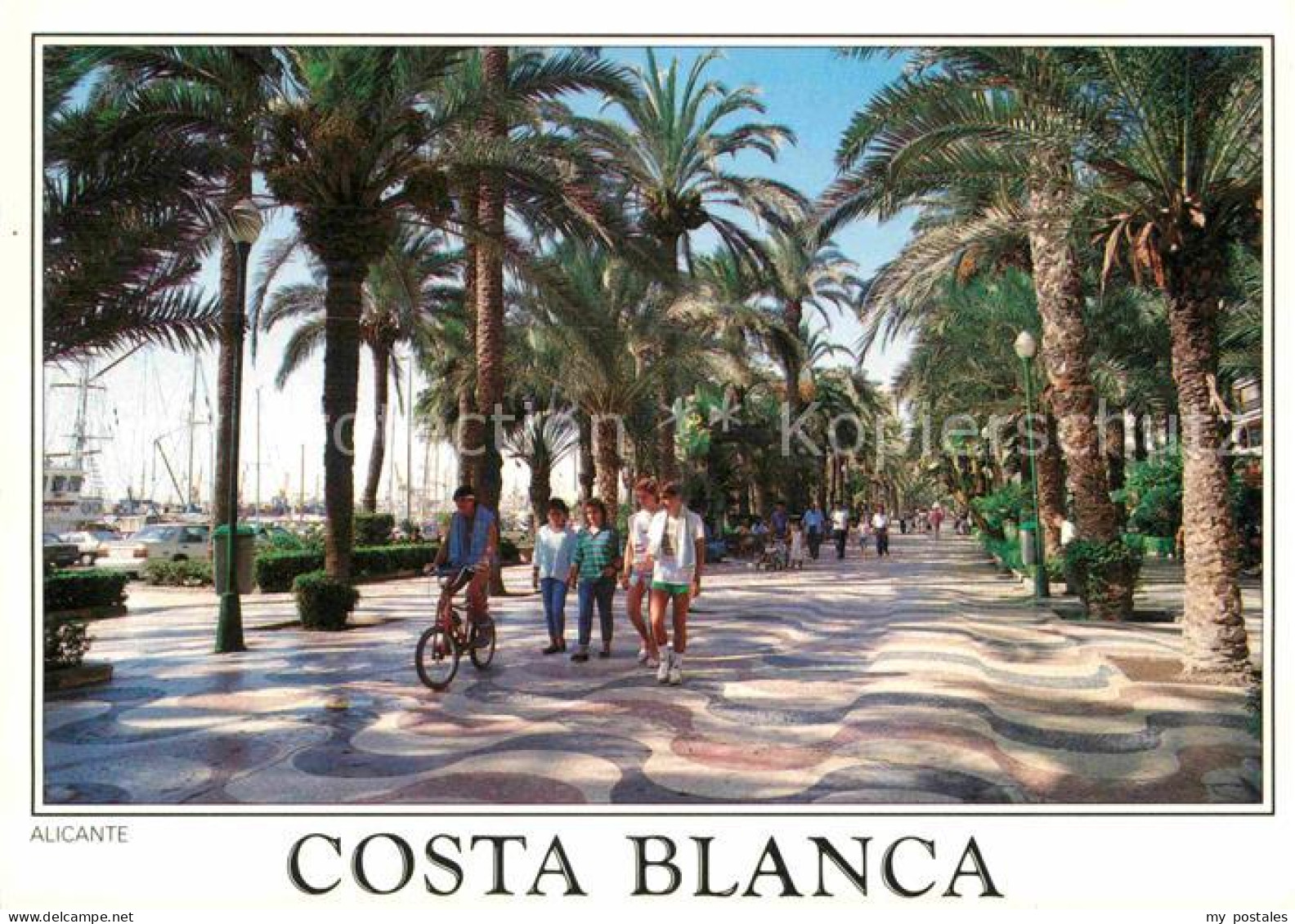 72769398 Alicante Palmenallee Alicante