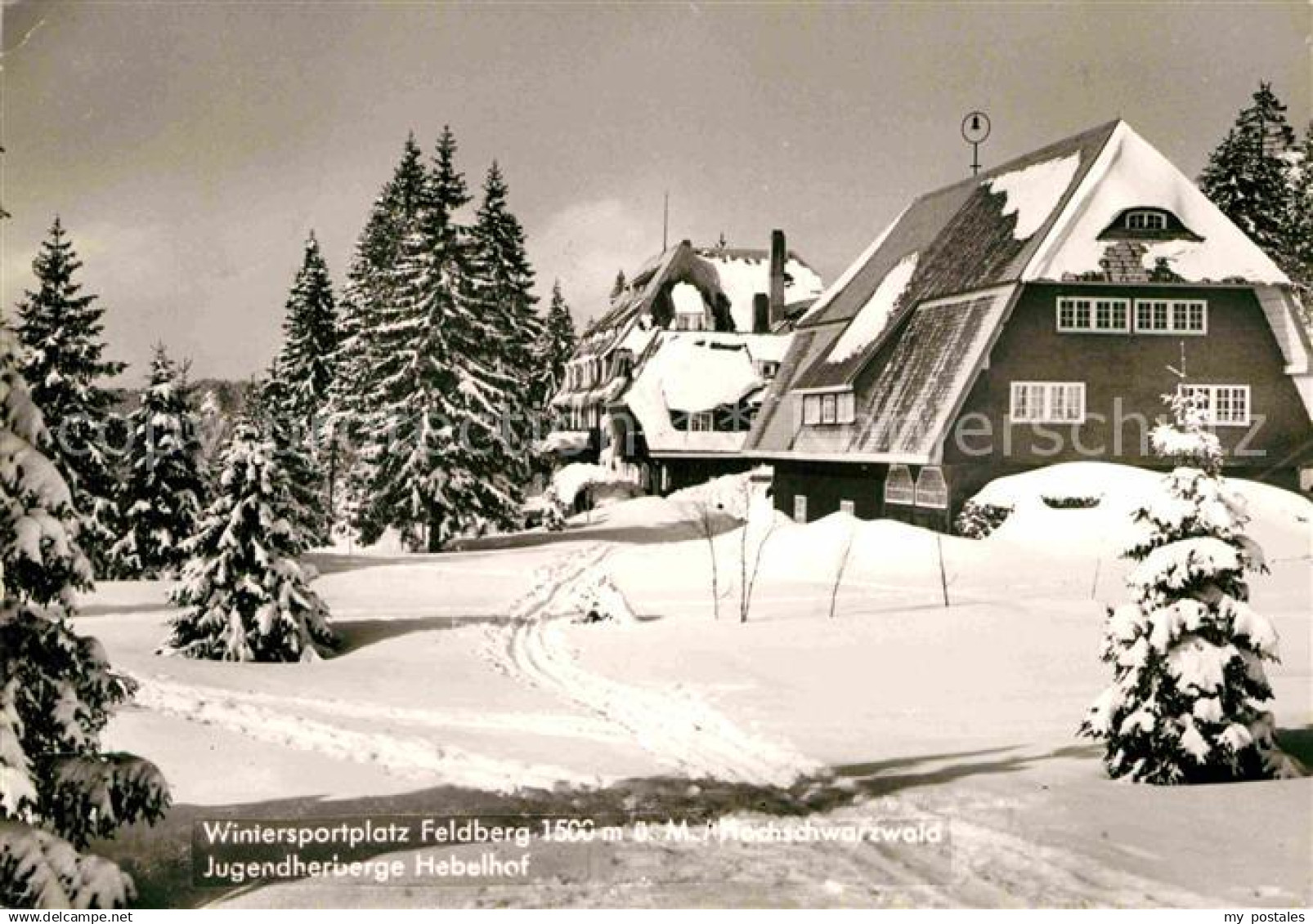 72772335 Feldberg Schwarzwald Jugendherberge Hebelhof Feldberg (Schwarzwald)