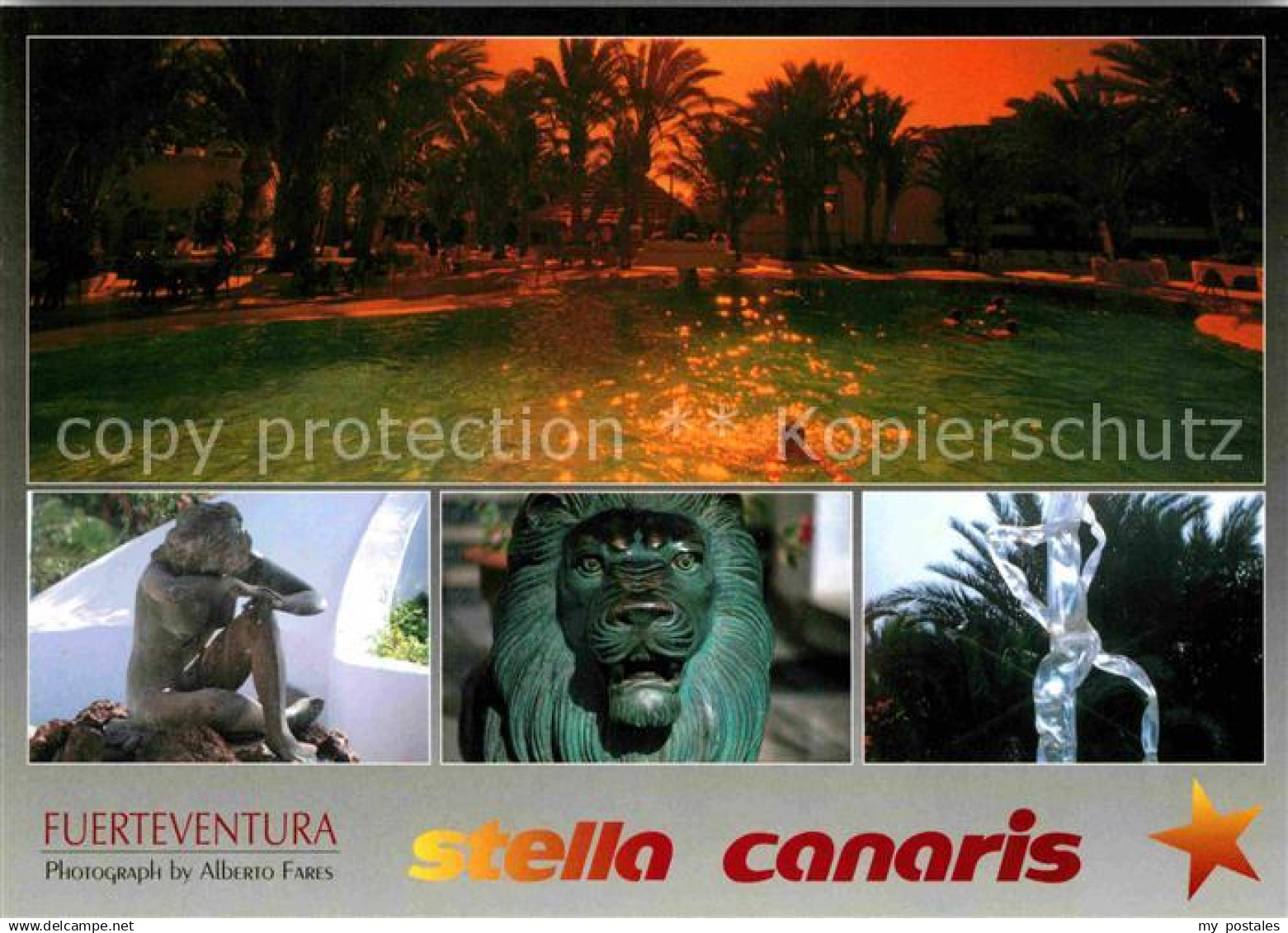 72779384 Fuerteventura Stella Canaris