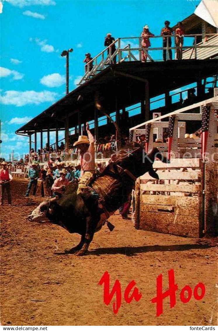 72803474 Cheyenne Wyoming Bull Riding