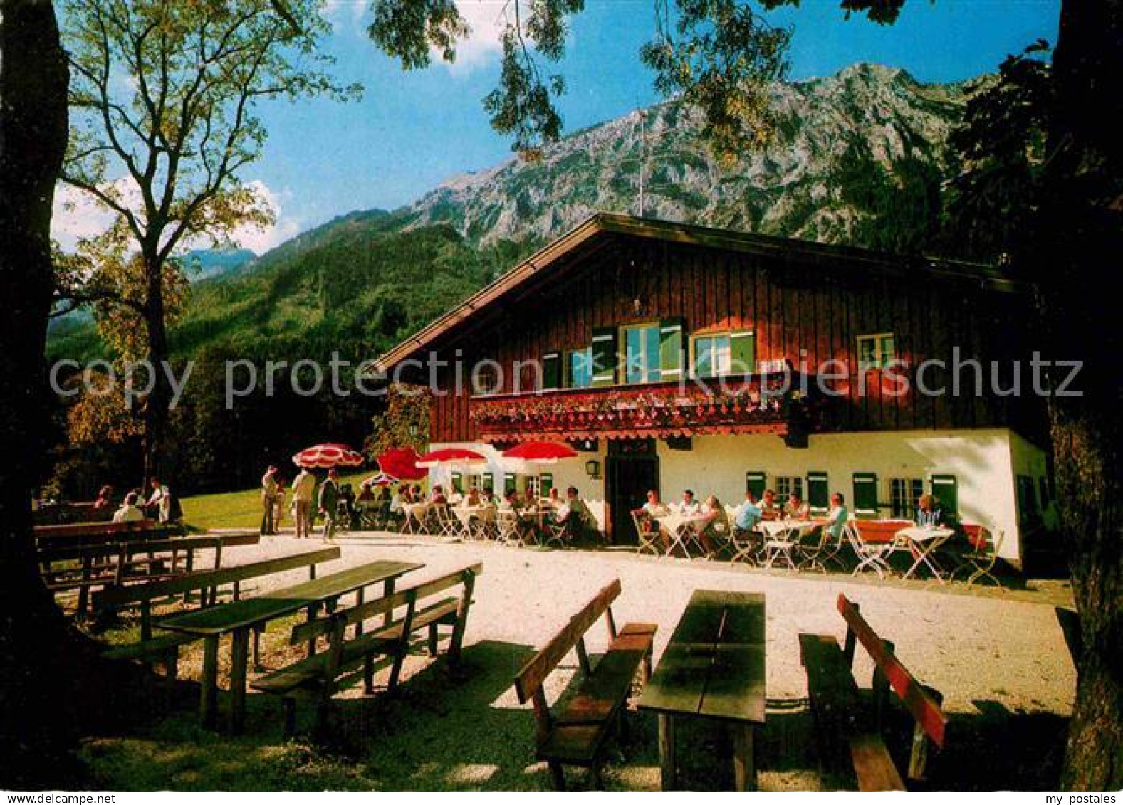 72882917 Bad Reichenhall Padingeralm Bad Reichenhall