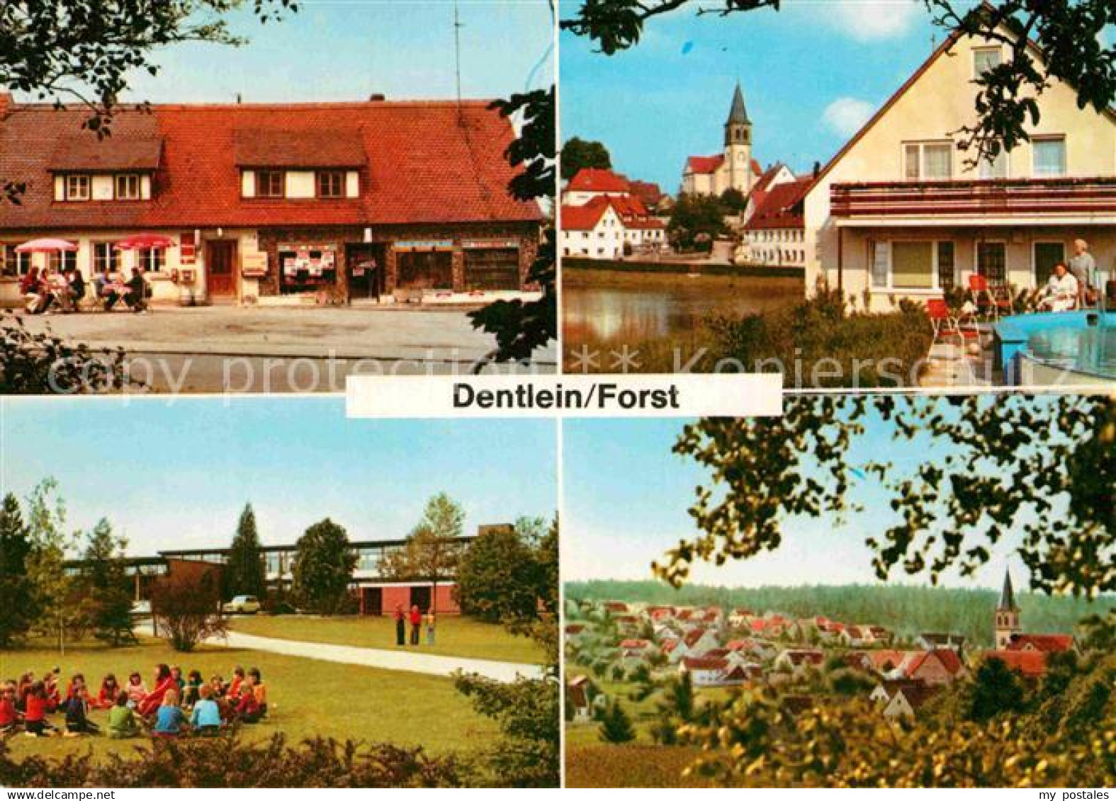 72889191 Dentlein Forst