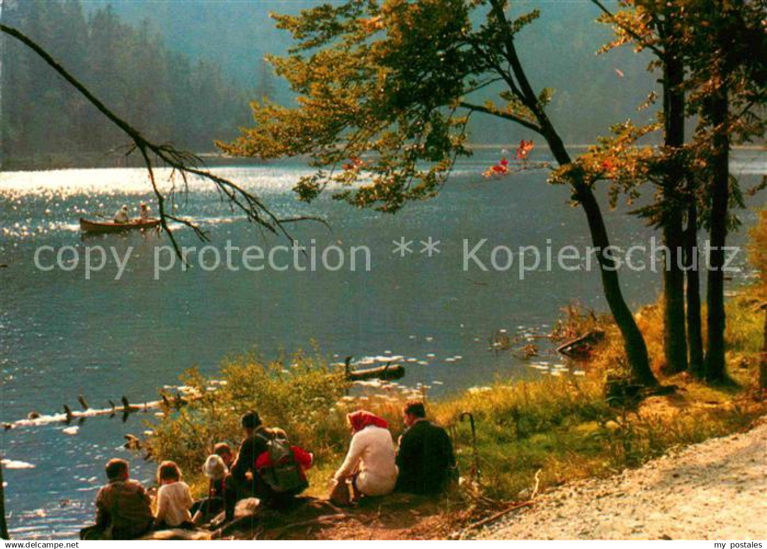 72905890 Regen Grosser Arbersee Regen