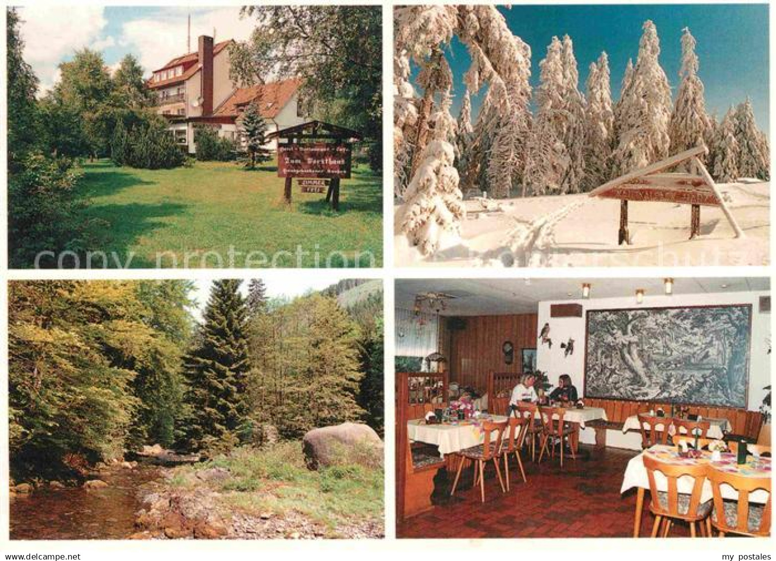 72915585 Altenau Harz Hotel Zum Forsthaus  Altenau