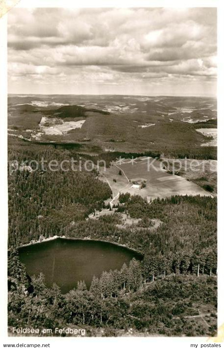 72944694 Feldberg Schwarzwald Feldsee Feldberg (Schwarzwald)