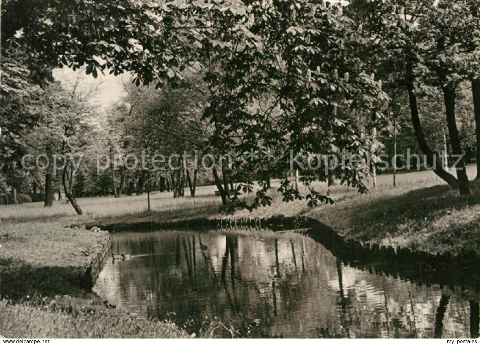 72984049 Pankow Die Panke im Buergerpark Pankow