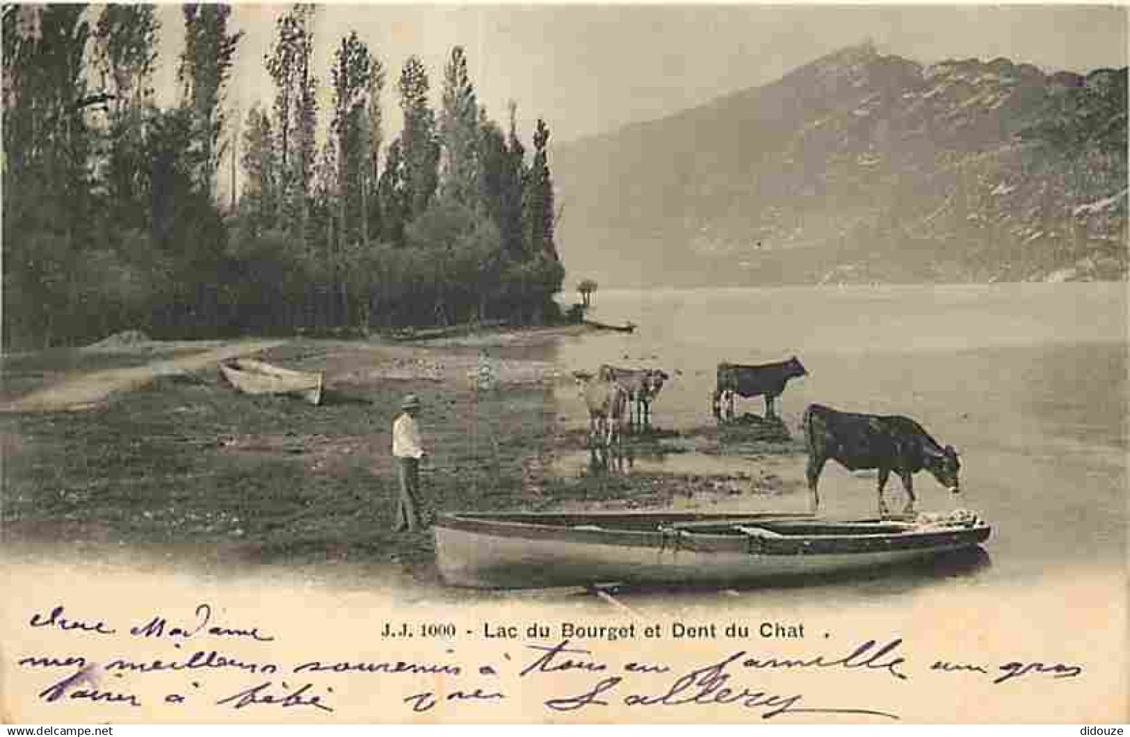 73 - Le Bourget du Lac - Lac du Bourget et Dent du Chat - Animée - Barques - Vaches - CPA - Voir Scans Recto-Verso