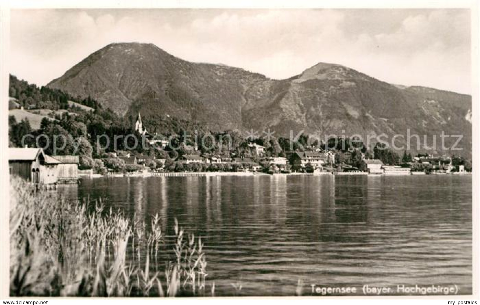 73016608 Tegernsee Seepanorama Tegernsee