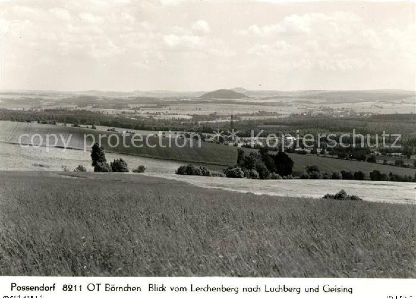 73031645 Boernchen Bannewitz Blick vom Lerchenberg nach Luchberg und Geising