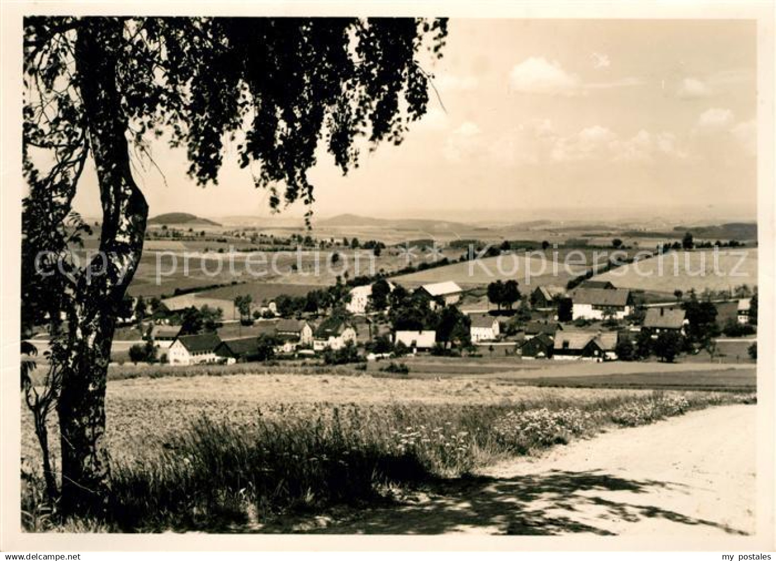 73035729 Falkenhain Altenberg Erzgebirge Panorama Falkenhain Altenberg