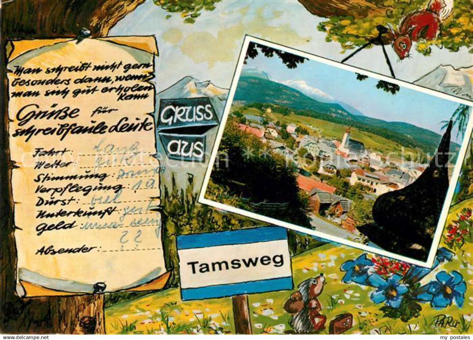 73089144 Tamsweg Lungau