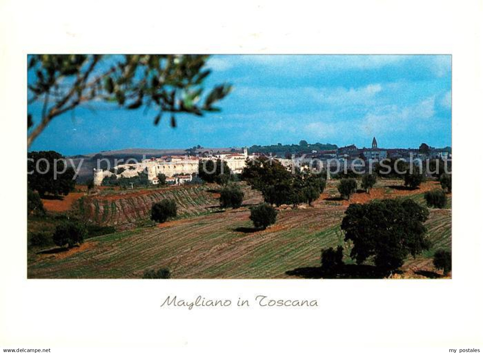 73102431 Magliano Toscana