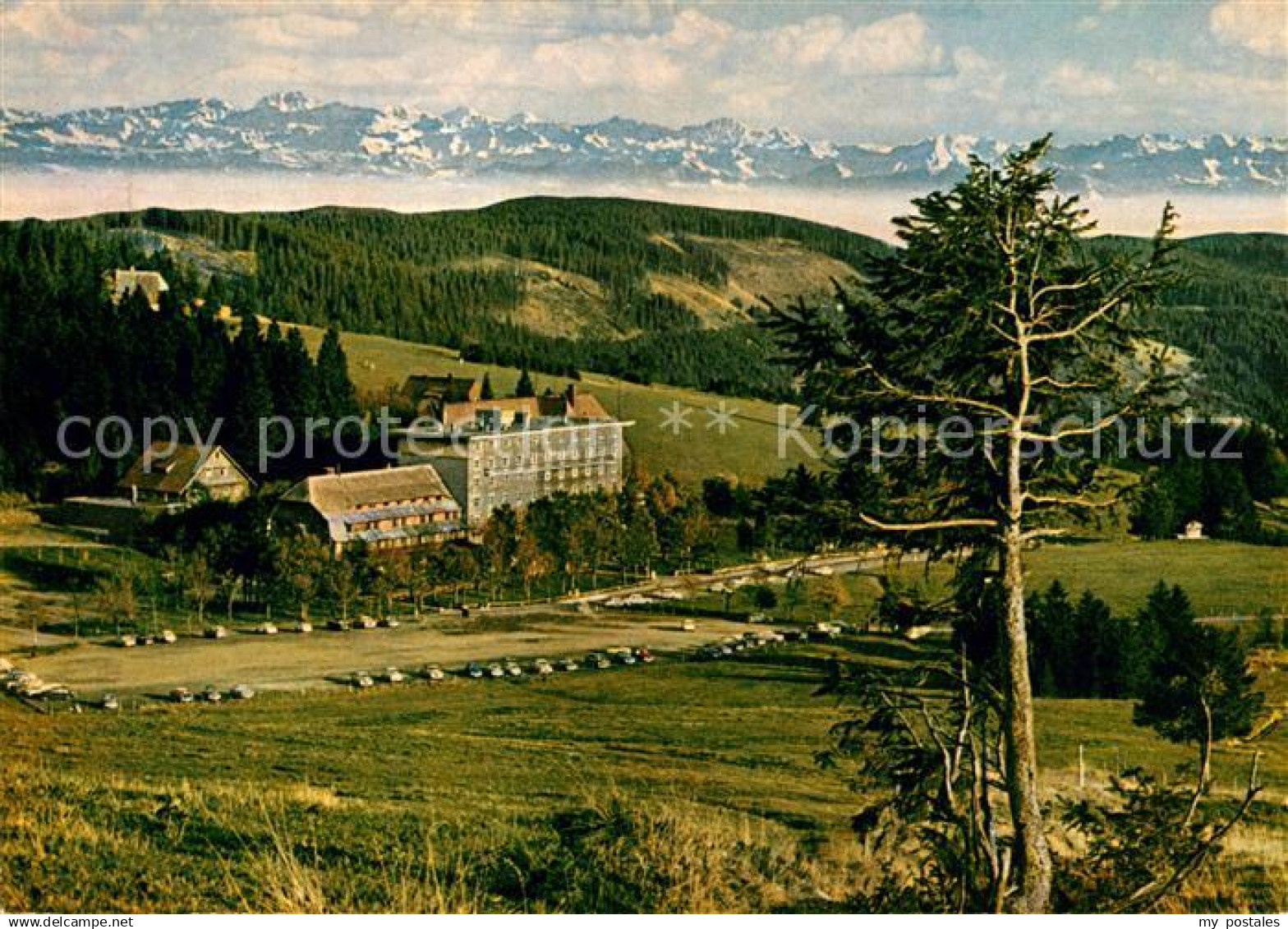 73122019 Feldberg Schwarzwald Hotel Feldbergerhof Feldberg