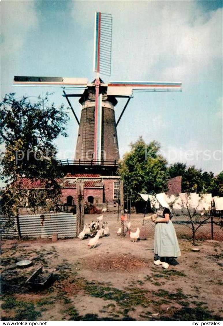 73126005 Zeeland Niederlande Hollandse molen Windmuehle Zeeland Niederlande