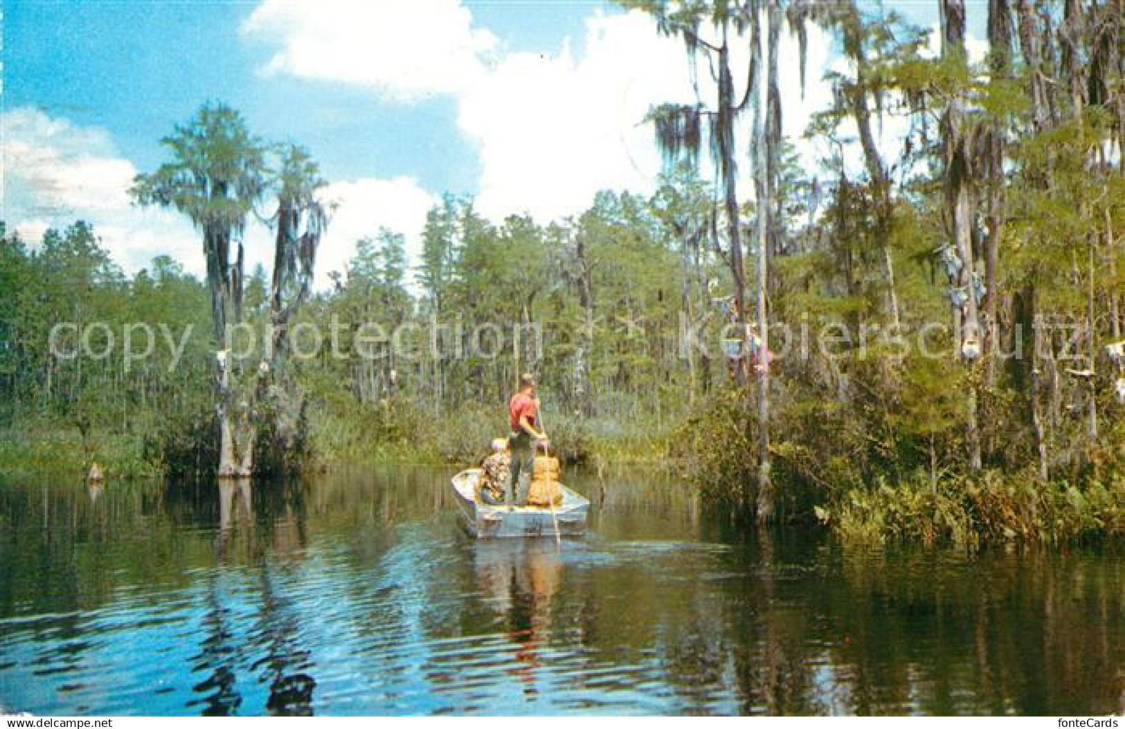 73131336 Fargo_Georgia Okefenokee Swamp