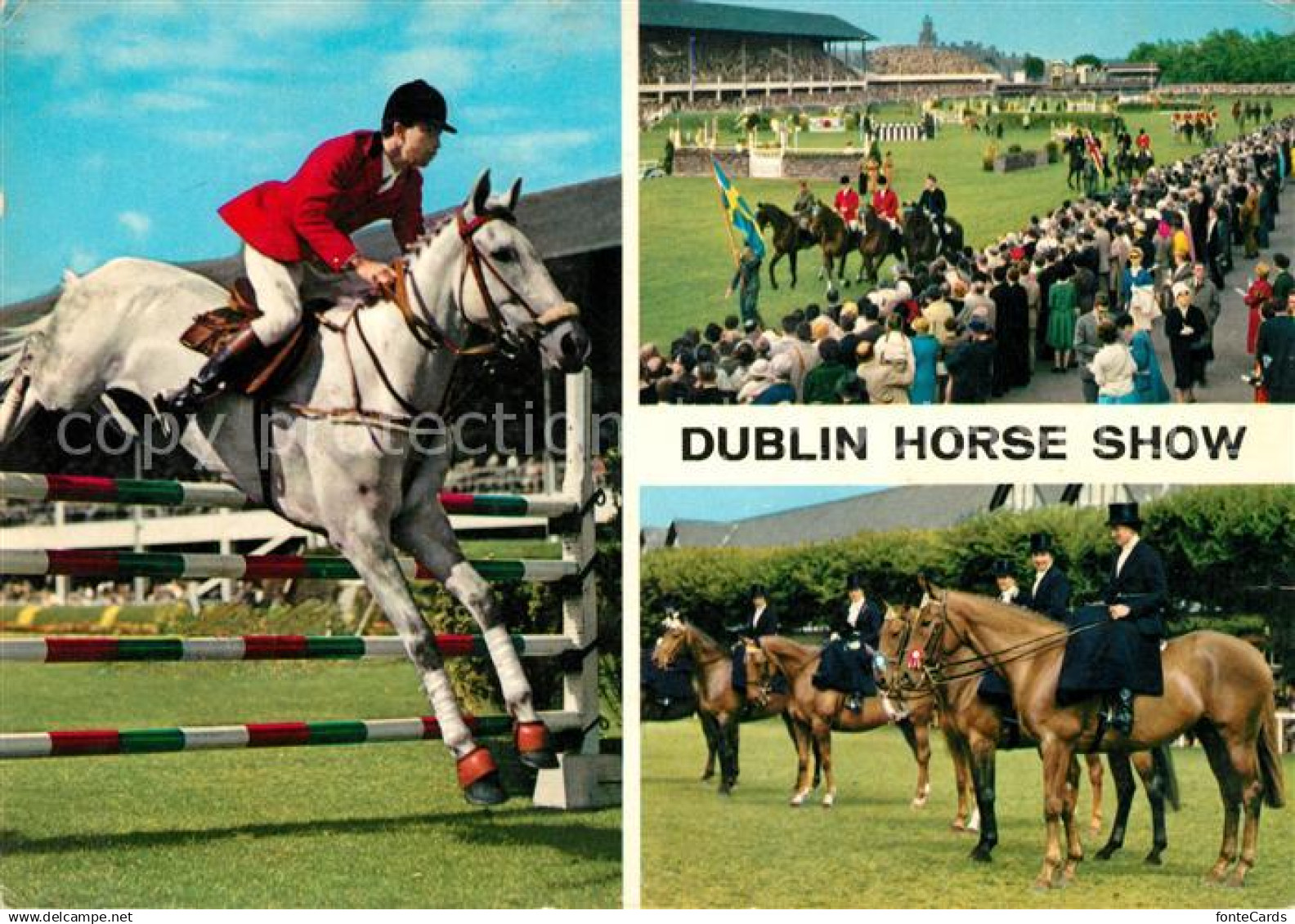 73149056 Dublin Ireland Horse Show Reitturnier Dublin Ireland