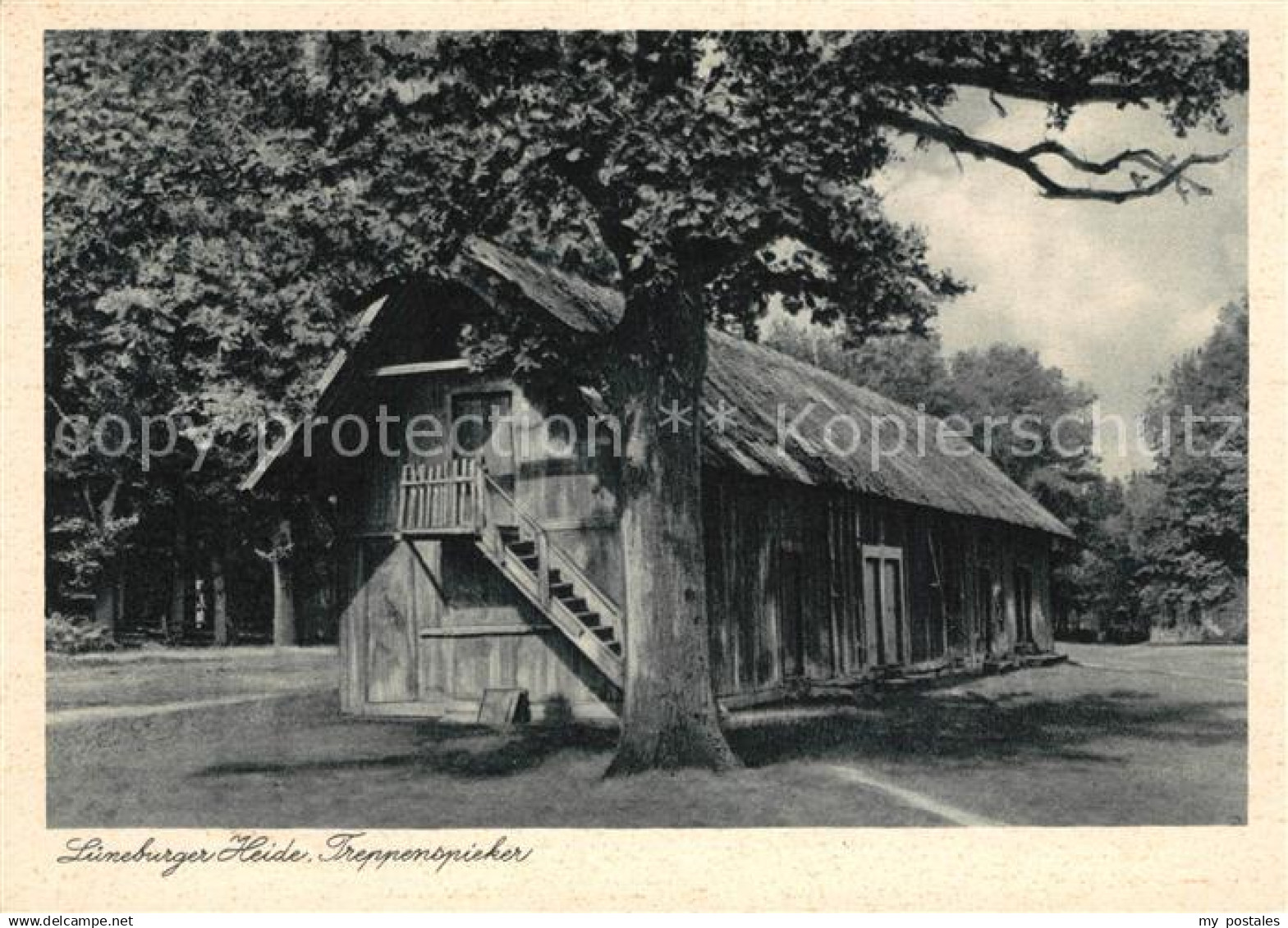 73164140 Lueneburger Heide Treppenspieker Lueneburger Heide