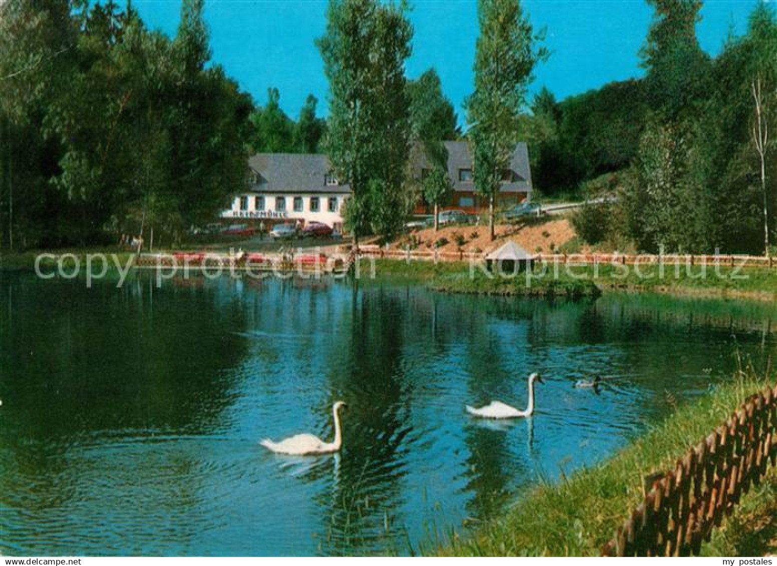 73169585 Manderscheid Eifel Hotel Cafe Heidsmuehle Schwanenteich Manderscheid