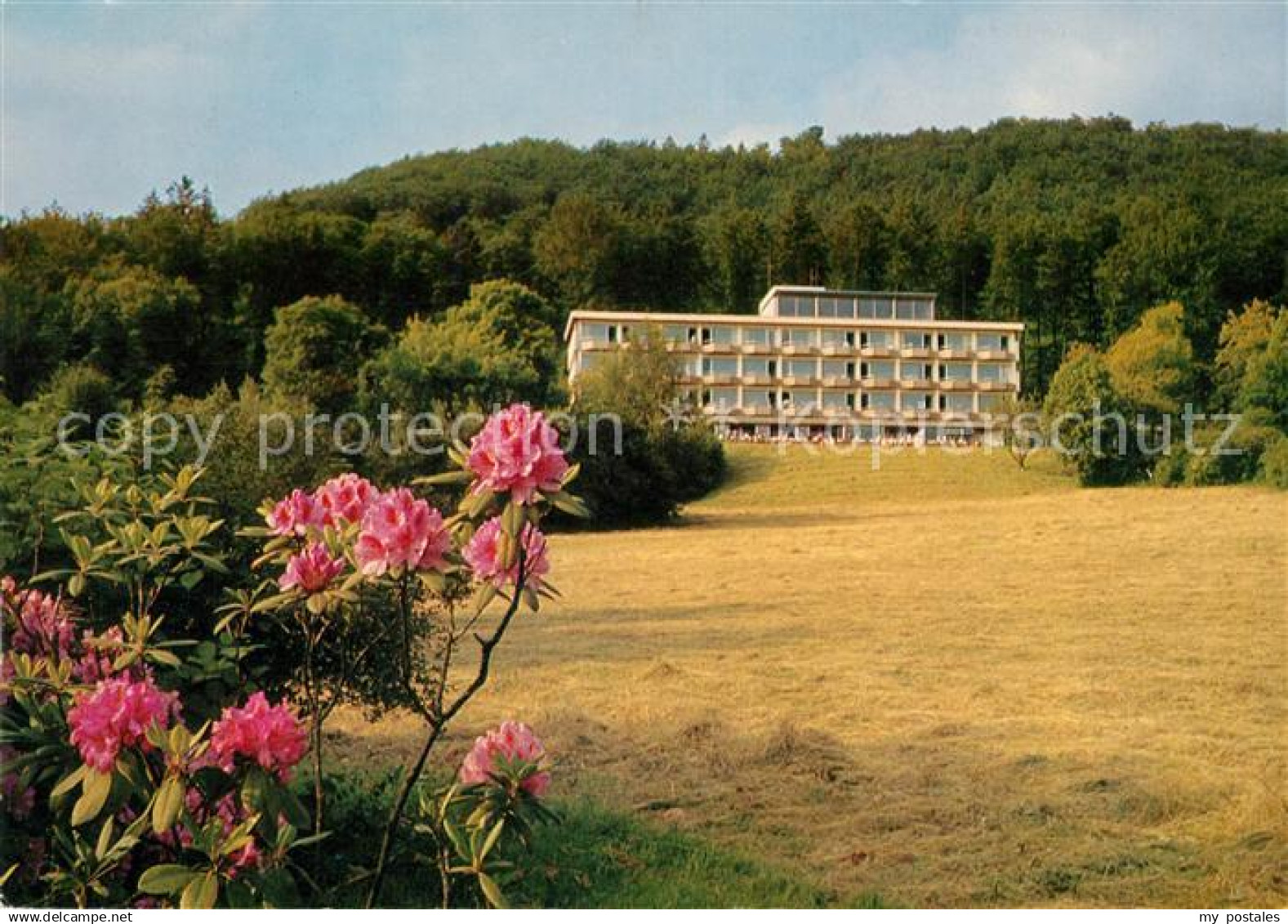 73173216 Bad Pyrmont Bomberg-Hotel Bad Pyrmont