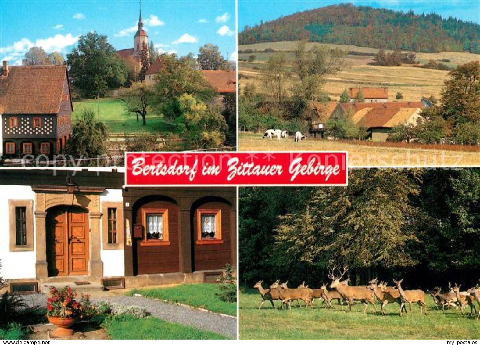 73179263 Bertsdorf-Hoernitz Kirche Breitenberg Sandsteintuerstock Wildgehege Zit